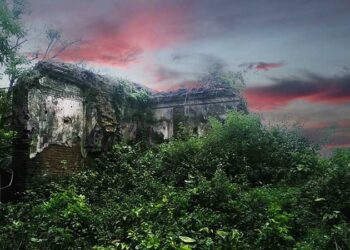 জঙ্গলে মুখ ঢেখেছে ইতিহাসের ছাপাখানা