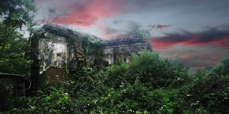 জঙ্গলে মুখ ঢেখেছে ইতিহাসের ছাপাখানা