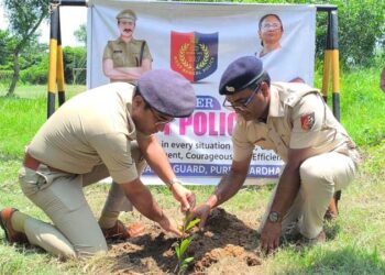 বৃক্ষরোপন দিবস