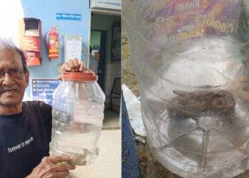 কালনা মহকুমা হাসপাতালে চন্দ্রবোড়া সাপ উদ্ধারে চাঞ্চল্য ছড়ালো হাসপাতাল চত্বরে