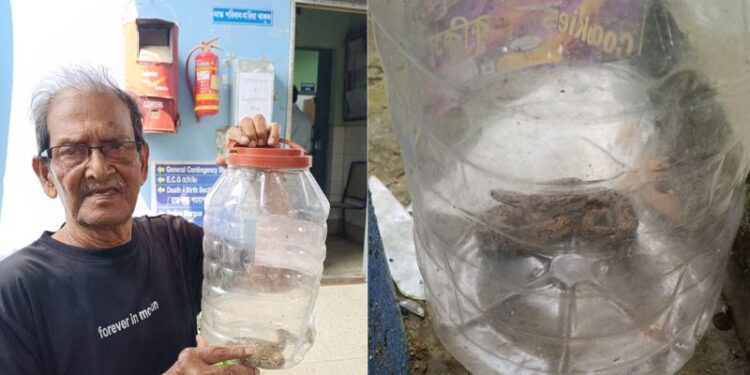 কালনা মহকুমা হাসপাতালে চন্দ্রবোড়া সাপ উদ্ধারে চাঞ্চল্য ছড়ালো হাসপাতাল চত্বরে